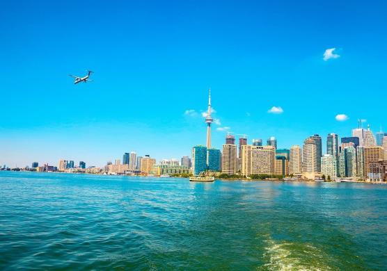 Tamwood Toronto 語言學習