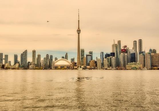 Tamwood Careers Toronto 主題課程