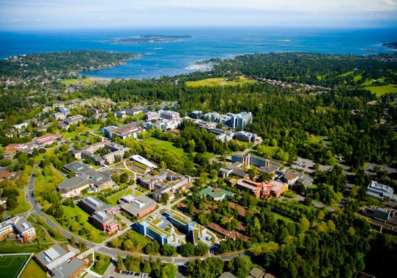 University of Victoria 專業證書