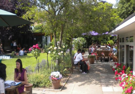 Wimbledon School of English 語言學習
