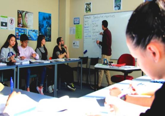 Worldwide school of English 語言學習