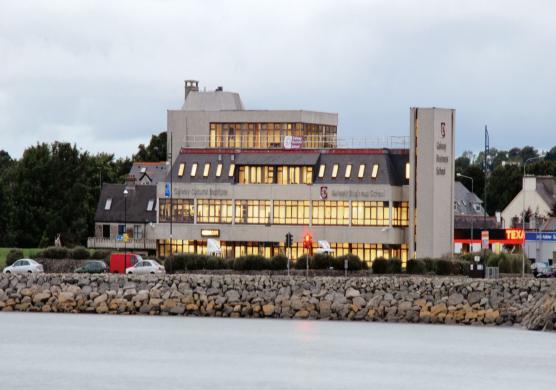 Galway Cultural Institute 語言學習
