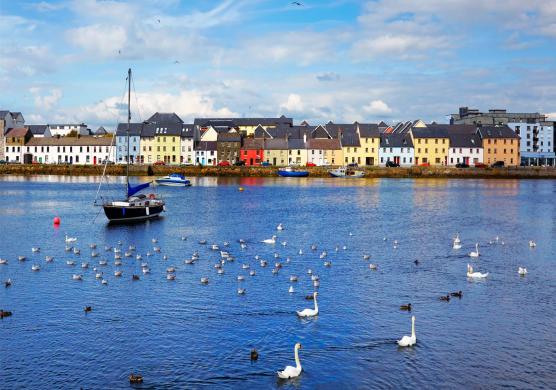 Galway Cultural Institute 語言學習