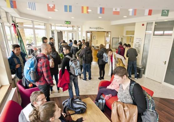 Galway Cultural Institute 語言學習