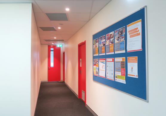 Impact English College Brisbane 學校介紹