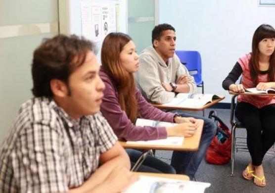 Language Studies International 語言學習