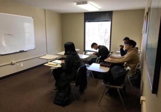 The Language Company 主題課程