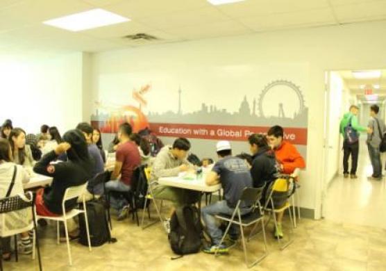 Upper Madison College 主題課程