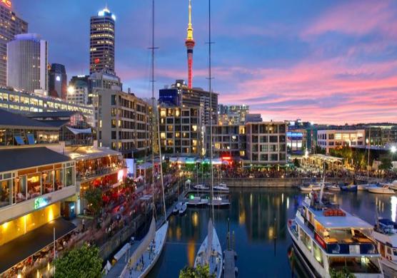 Unique New Zealand 主題課程