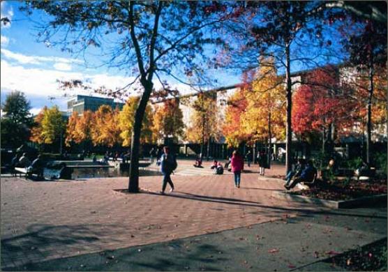 University of Victoria-Continuing Studies 語言學習