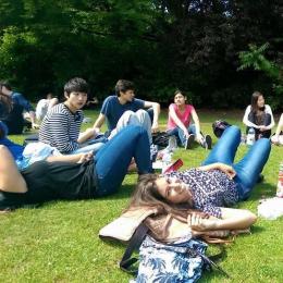 愛爾蘭打工遊學 CES @ lreland│國外打工遊學圓夢之旅