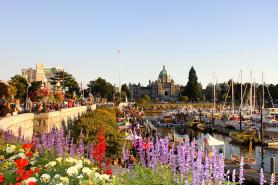 加拿大 維多利亞大學 University of Victoria 【2022年1個月遊學方案】